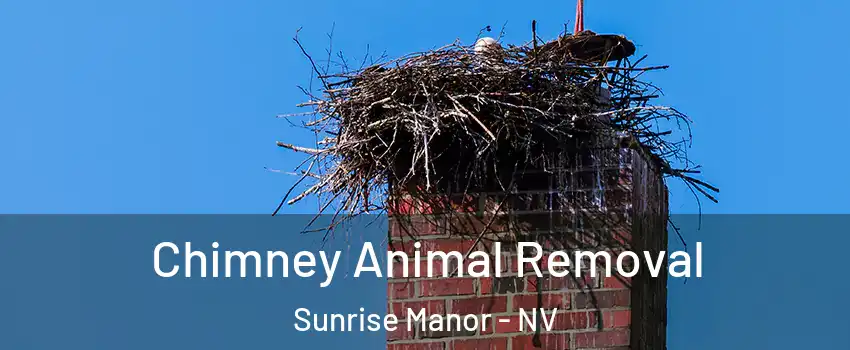 Chimney Animal Removal Sunrise Manor - NV