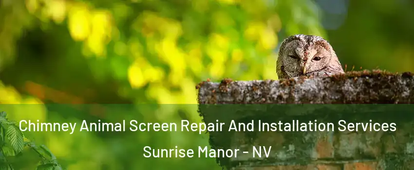 Chimney Animal Screen Repair And Installation Services Sunrise Manor - NV