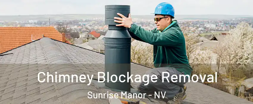 Chimney Blockage Removal Sunrise Manor - NV