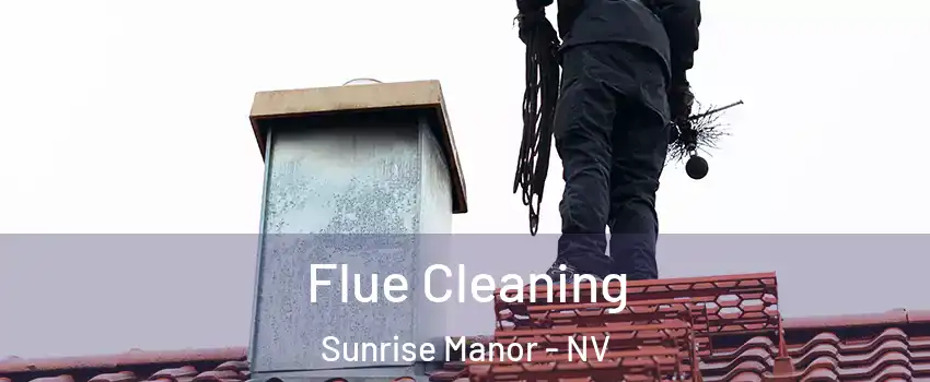 Flue Cleaning Sunrise Manor - NV