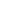 Professional Chimney Flue Installation in Sunrise Manor, Nevada