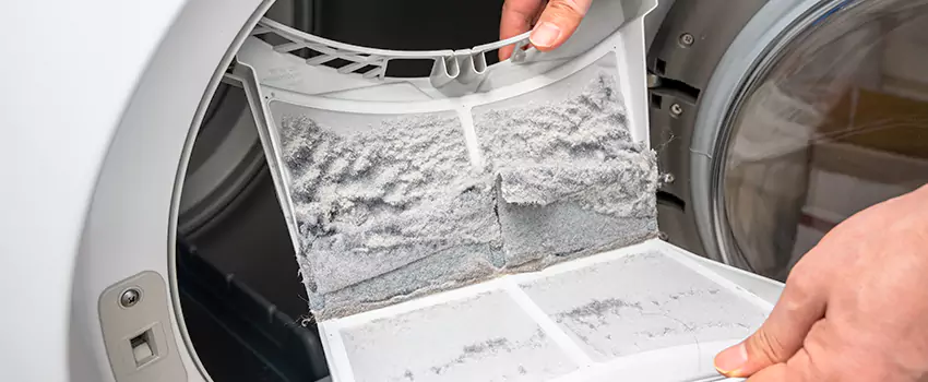 Best Dryer Lint Removal Company in Sunrise Manor, Nevada
