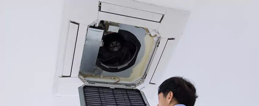 Benefits of Professional Air Duct Cleaning in Sunrise Manor, Nevada
