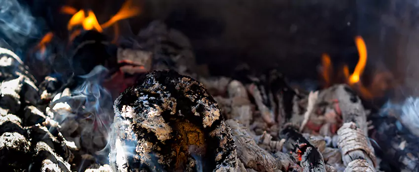 Creosote Removal Experts in Sunrise Manor, NV